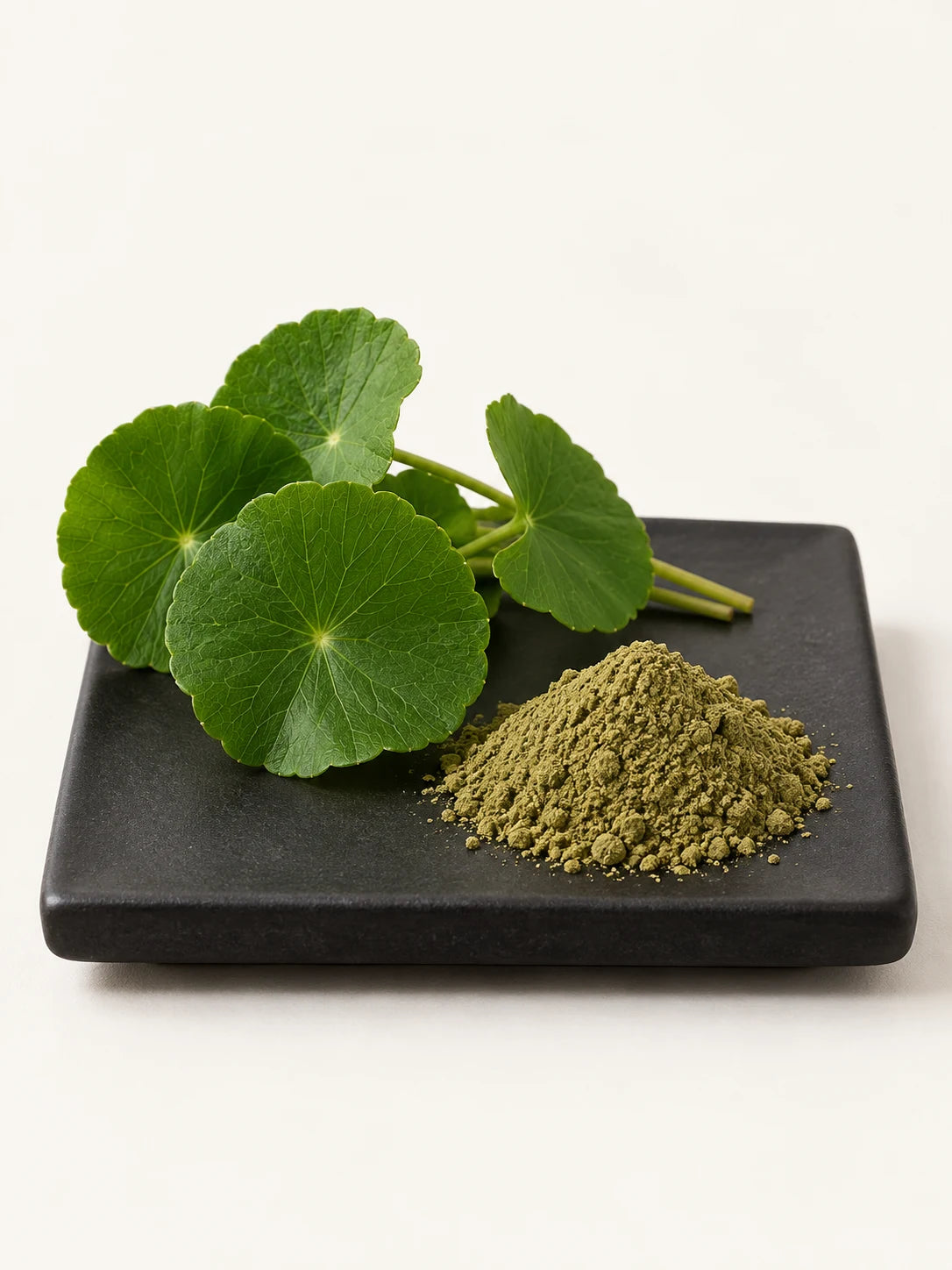 Illustrative Centella asiatica leaves and dry extract on a black plate.